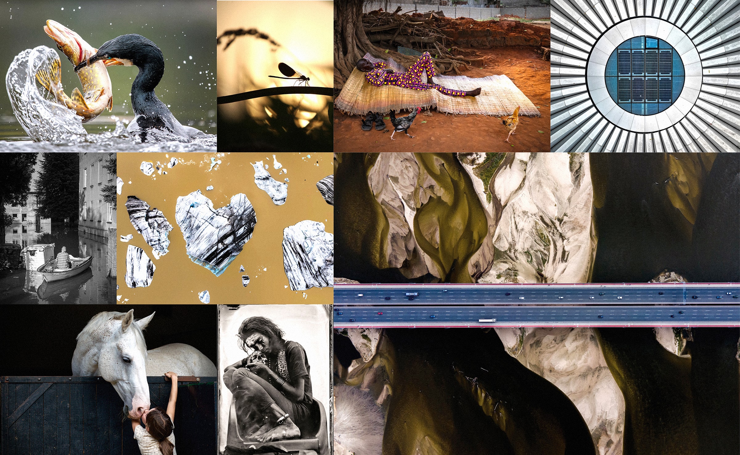 wkf.national-geographic.pl