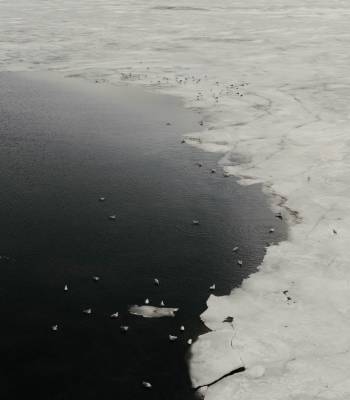 Arktyczna Zatoka Pucka